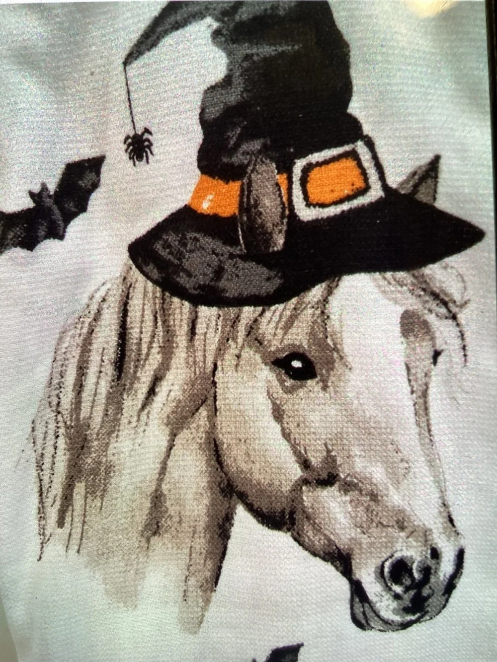 New Deborah Connolly Halloween Kitchen Towels - horse with witch hat-3 pk